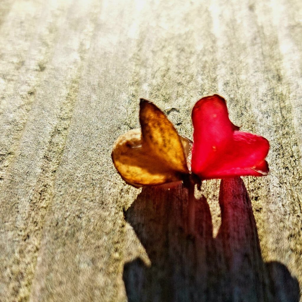 Love casts out fear