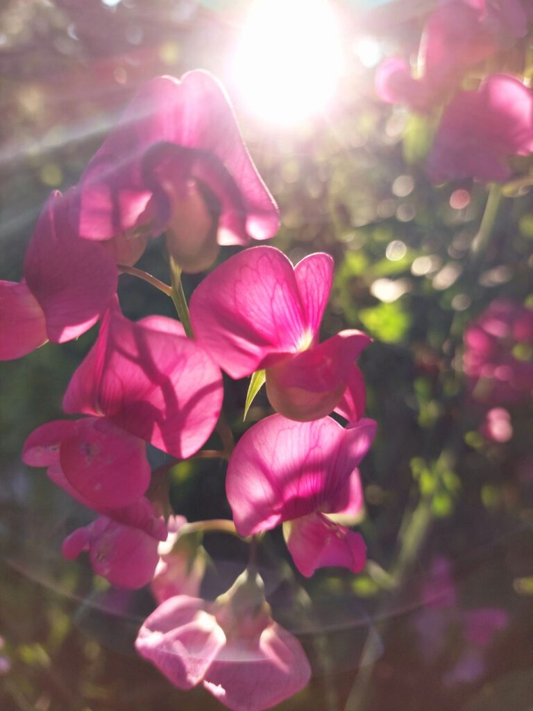 What does walking the path of Love mean?